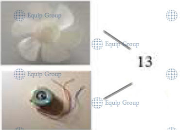 mini72a9eefe-99a9-4bd8-b472-fd1c8a29d9b9