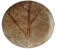 abc4ebbc-55f4-46cb-8afa-d02c9d1f16a6